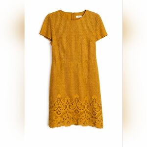 💛 LOFT Lace Mini Dress | Mustard Yellow | Petite Large